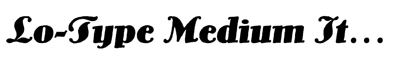 Lo-Type Medium Italic